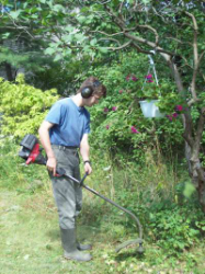 trimming weeds