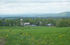 A farm with brown and black cows