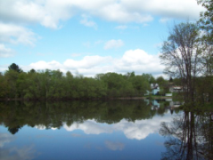 Reflection on the river