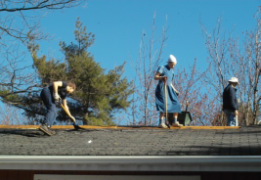 removing the old shingles